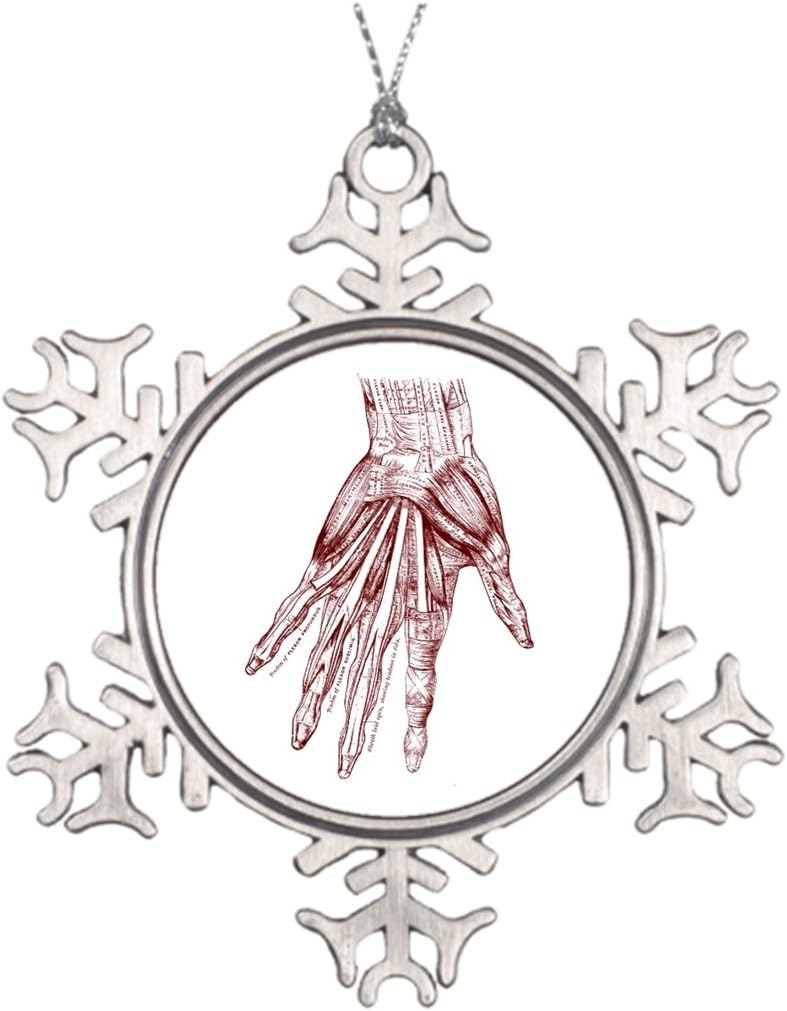 Carolor Ideas For Decorating Christmas Trees Human Anatomy