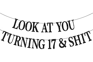 Happy 17th Birthday Banner - Cheers to 17 Years!