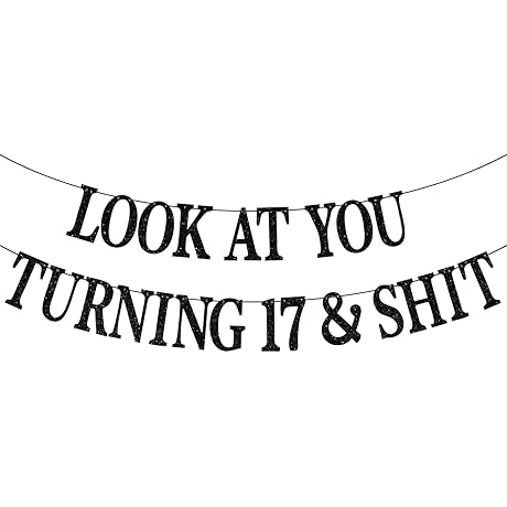 Happy 17th Birthday Banner - Cheers to 17 Years!