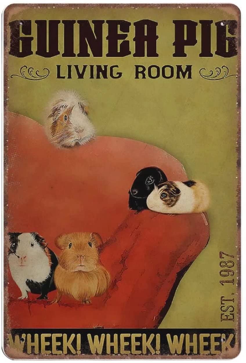 Curteny Earthy Tones Aluminum Sign Wall Sign Vintage Metal Tin Signs Guinea Pig Living Room Guinea Pigs Funny Retro Kitchen Outdoor Garage Man Cave Home Decor Wall Art Metal Sign 6X8 Inch