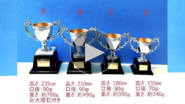 Amazon.co.jp: アーストロフィー 優勝カップ金属製WDW【プレート彫刻