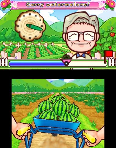 Image of Gardening Mama 2: Forest Friends - Nintendo 3DS (Renewed)