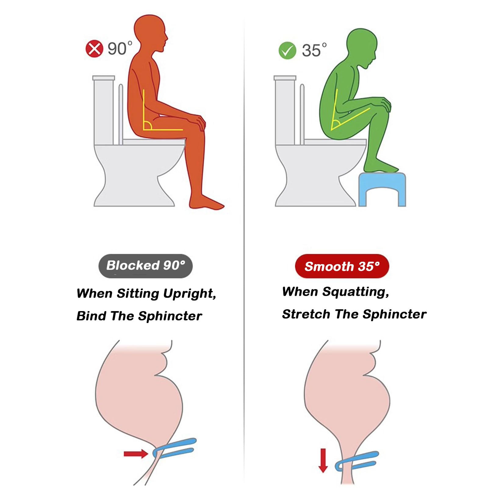Toilettenhocker Erwachsene | Ergonomischer WC-Hocker gegen Hämorrhoiden, Verstopfung & Reizdarmsyndrom | Anti-Rutsch, 16 cm Höhe für gesunde Hockstellung | Leicht & Platzsparend 39x22x16 cm