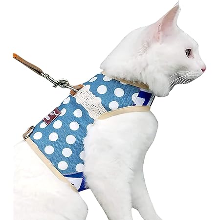kitty harness amazon