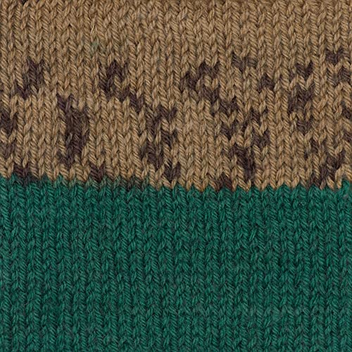 Image of Patons Kroy Socks Yarn - (1) Gauge - 1.75 oz - Woodsie Woodsie - For Crochet, Knitting & Crafting