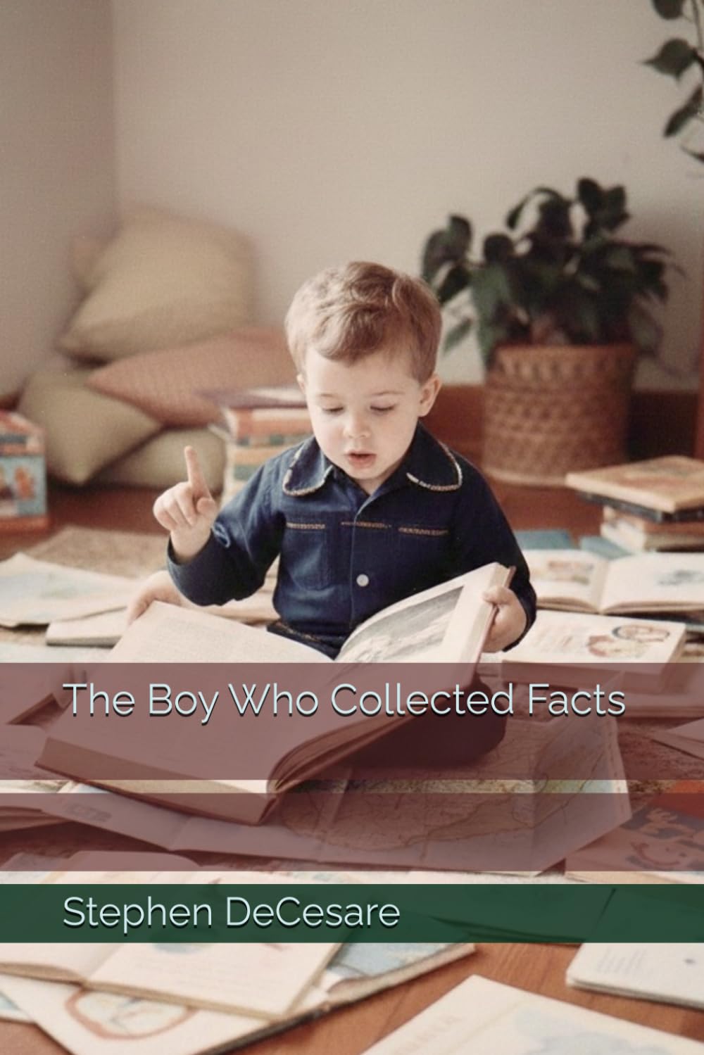 The Boy Who Collected Facts