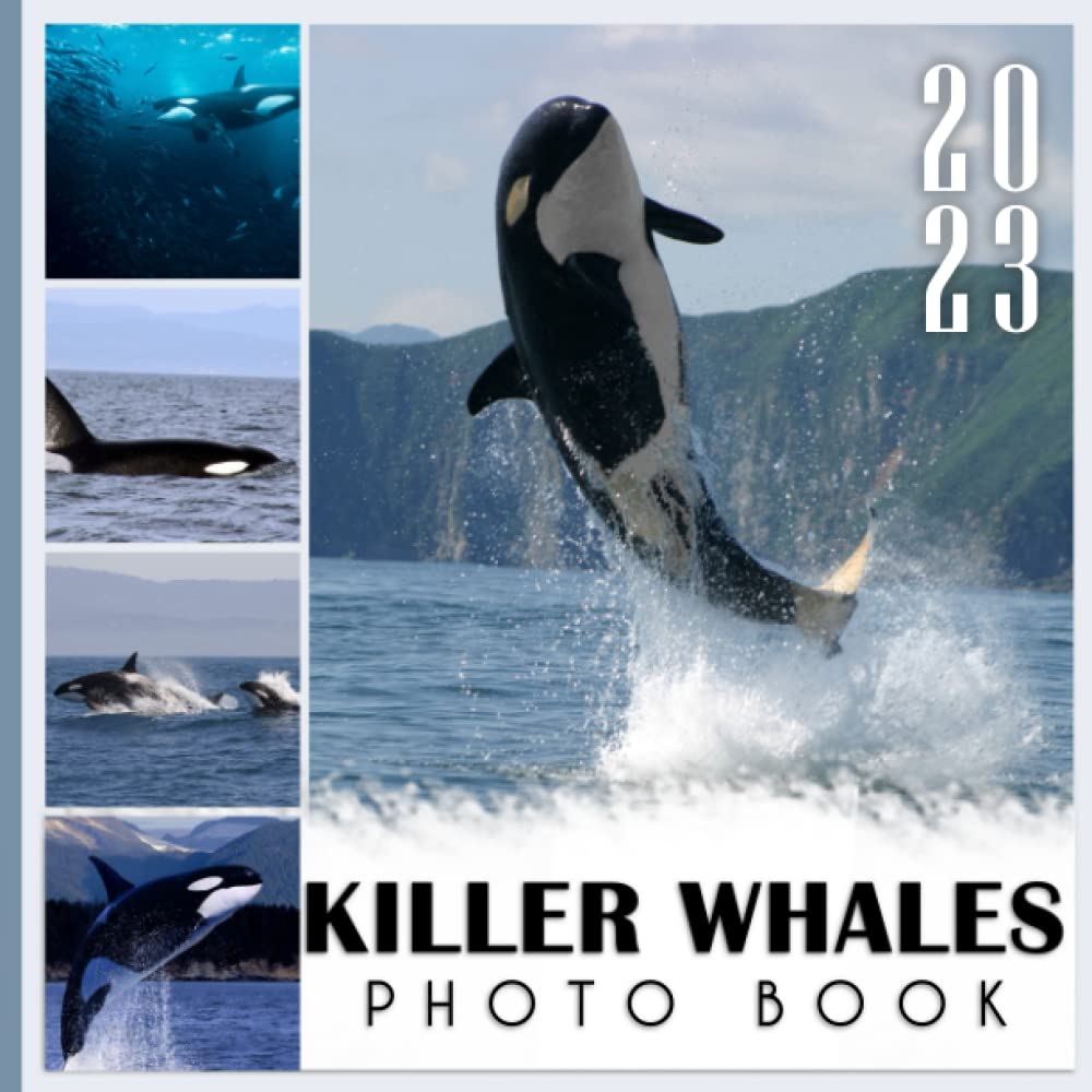 Killer Whales Orcas Picture Book: 2023 Picture Book For Photos Of Killer Whales Orcas With 30+ Photos Pictures, Photo Book Birthday Christmas Gifts For Men Women Dad Mom
