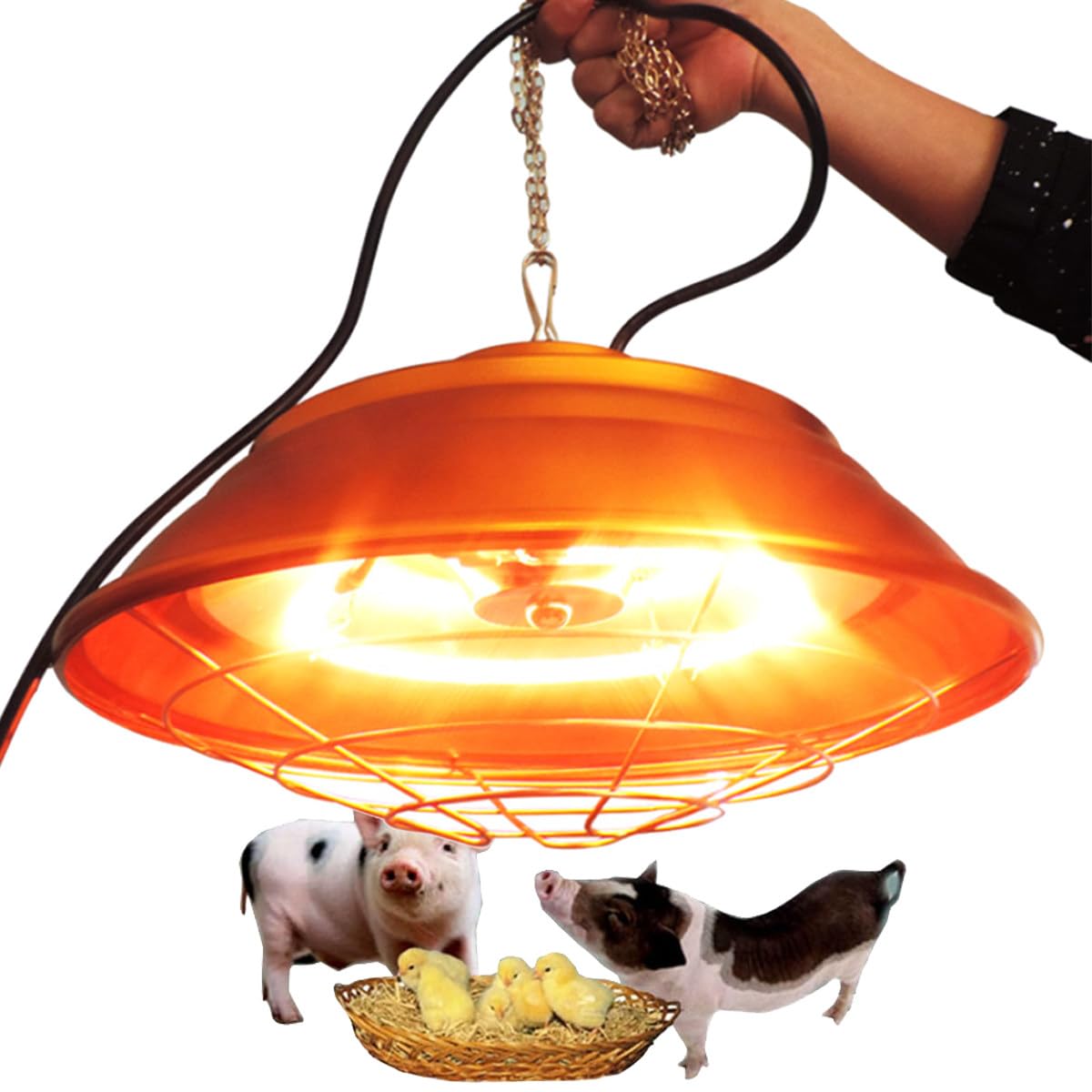 Lampa grzewcza E27 do łazienki z kurczakiem, energooszczędna żarówka grzewcza dla zwierząt na żywo, 250 W