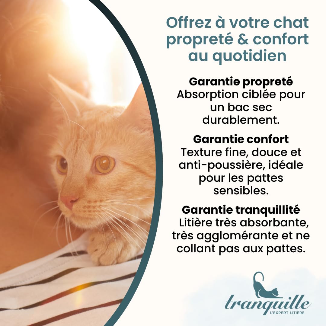 Tranquille - Litière pour Chat - Carbonite Stop Odeurs (4x5L) | Litière Agglomérante Charbon Actif Carbon Shield | Ultra Absorbante, Agglomérante & Anti-Poussière | Contrôle Odeurs