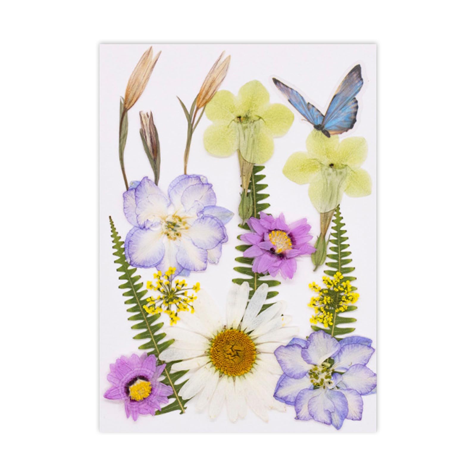 NEWFT Natural Dry Flower Leaves for Scrapbooking Bookmarks Candle Jewelry Making Pressed Natural Dried Flower For Epoxy Resin