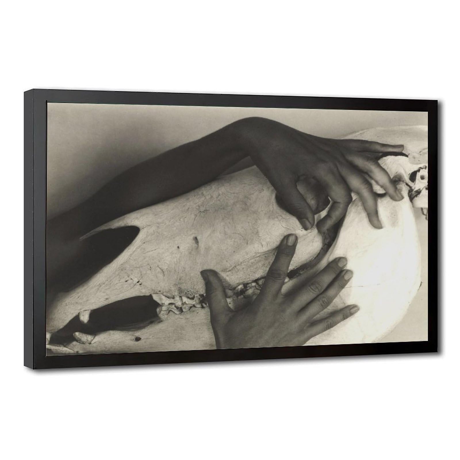WCYB Alfred Stieglitz - Georgia O'keeffe - Hands And Horse Skull 1931 Prints Posters Canvas Deco Paintings Wall Art For Office Living Room Hangable Frame 2