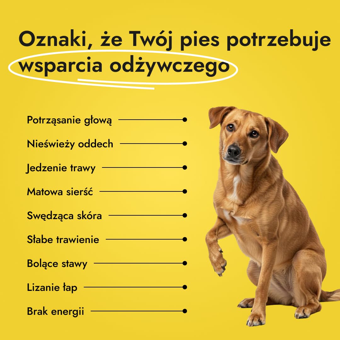 Canine Booster – suplement dla dorosłych psów z małżem zielonowargowym, kurkumą i probiotykami, wspiera stawy, trawienie, skórę, sierść i odporność (2x 150 g)