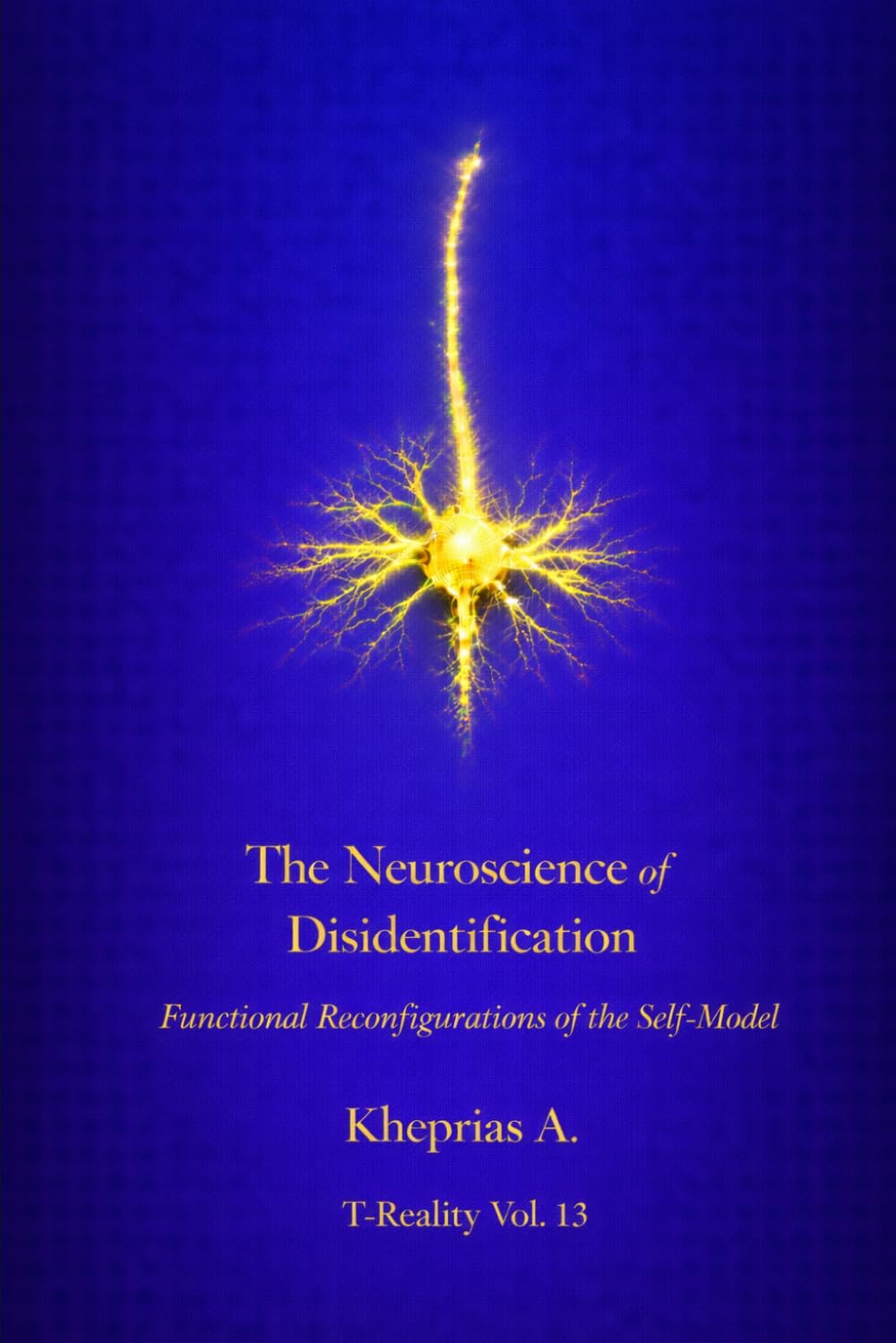 The Neuroscience of Disidentification: Functional Reconfigurations of the Self-Model: 10 (Series: T-Reality – Philosophy of Mind and Neurophilosophy)