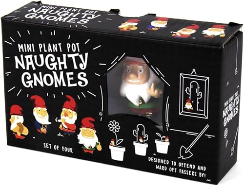 Miniatura 2 de Gift Republic Mini gnomos traviesos juego de 4 gnomos groseros para plantas de interior, estacas de jardín atrevidas para macetas, regalo divertido