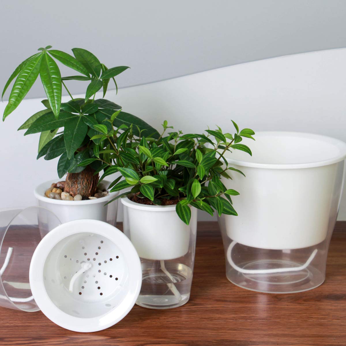 5 Packs 4.3 Inches Clear Self Watering Planters Plastic Plant Pots Wick Flower Pots for Indoor