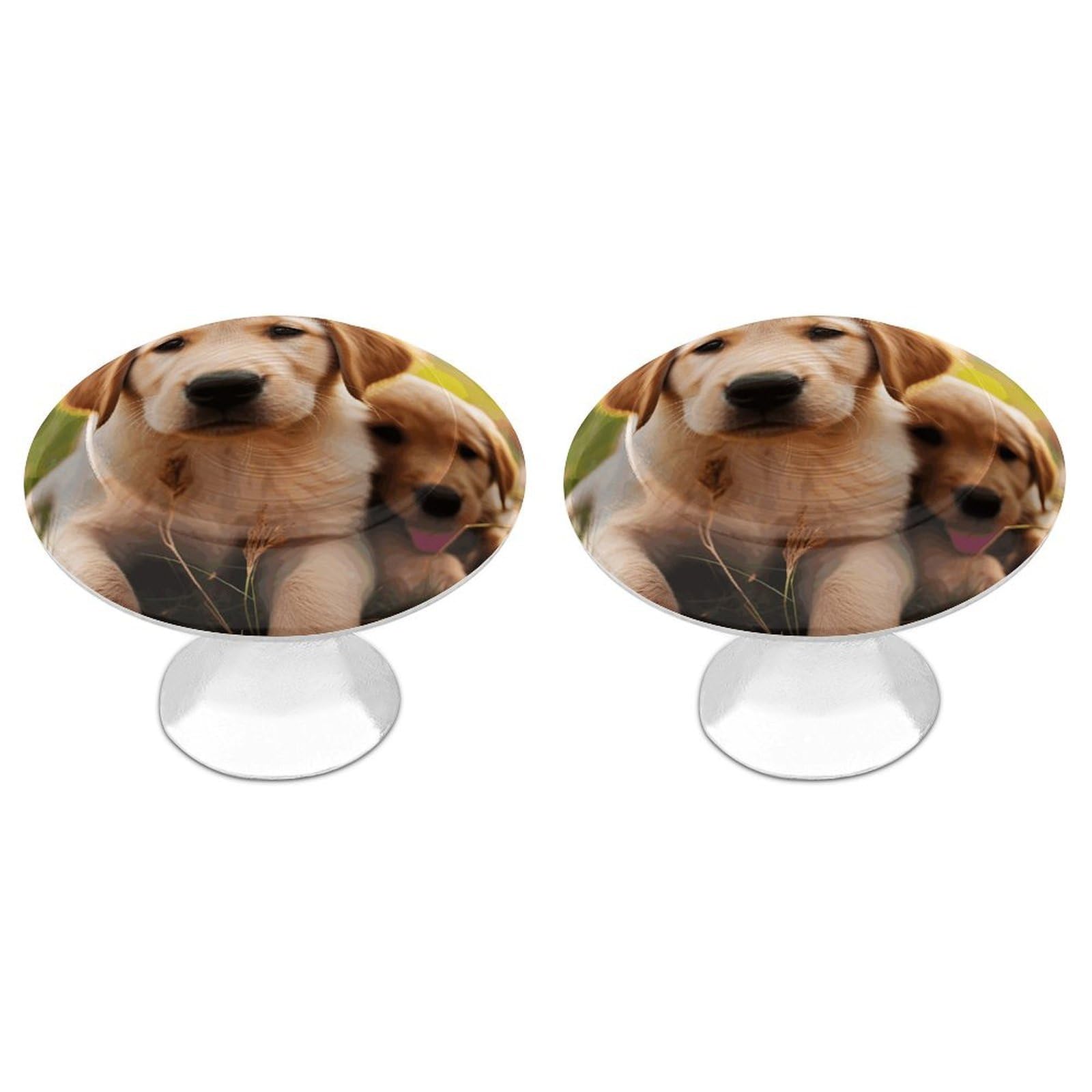 Vstadank Style Cute Golden Retriever Puppy Drawer Pulls Sturdy Stainless Steel Door Handle Round Cabinet Knobs Fashion Dresser Drawer Knobs Door Pulls Exquisite Cabinet Handles Furniture Pull 2Pcs