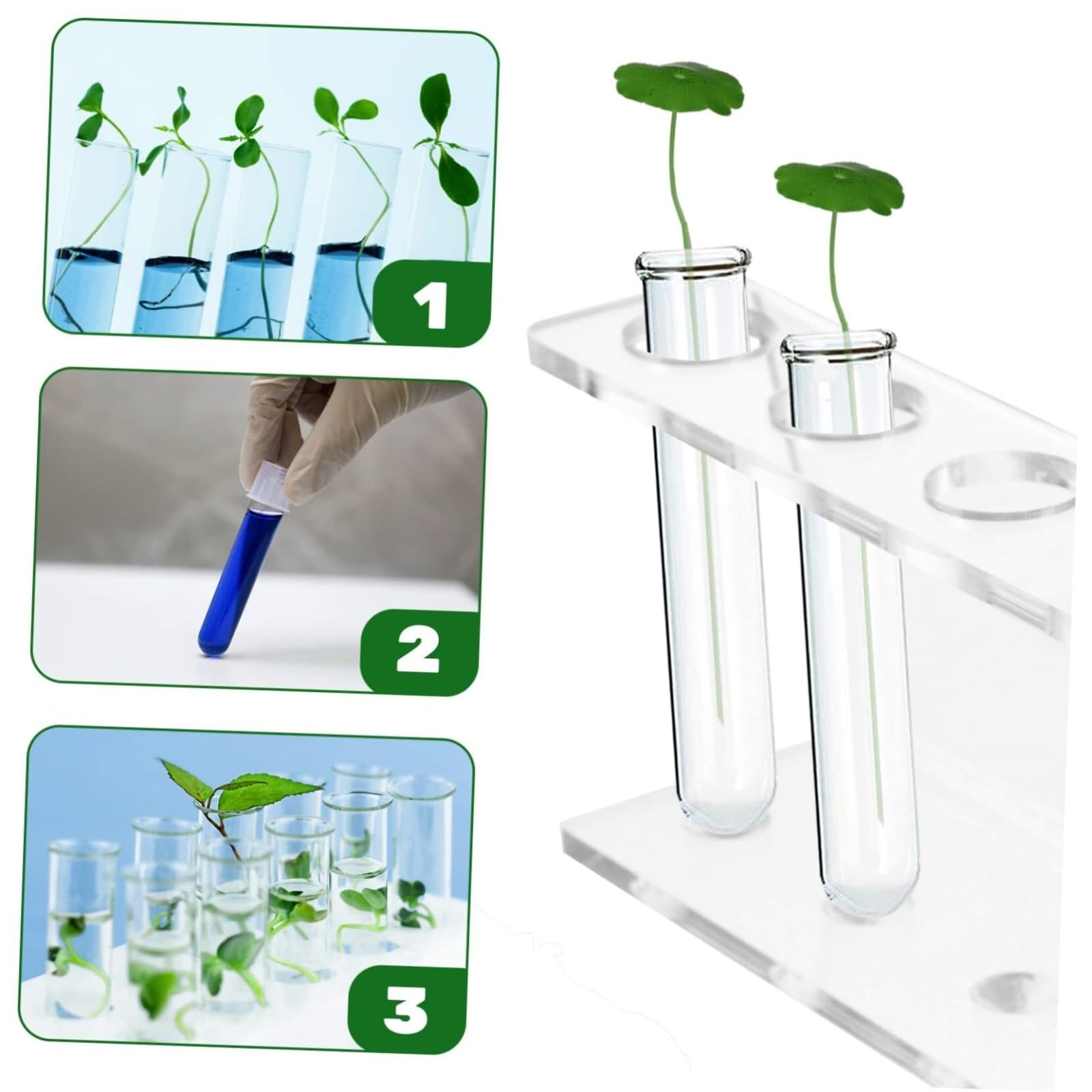 Estante de tubo de prueba de acrílico, Classroom Scientific - Soporte de exhibición for tubos ensayo (acrílico, transparente, 22 x 9 cm, 2 unidades)