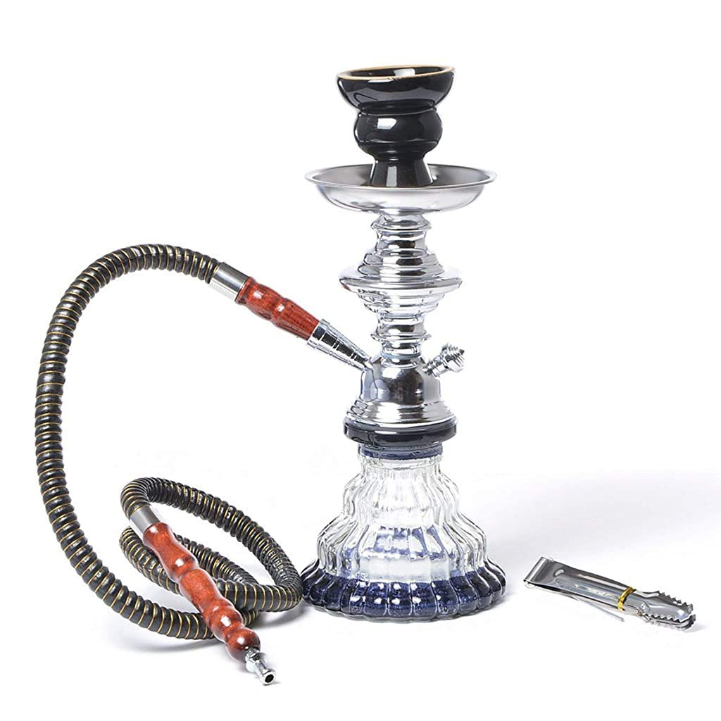 LJJ Cachimba Moderno Accesorios Completos para Shisha 1 Mangueras Diseño Vástago Carbón Pinzas para Carbón para Fiestas Casa