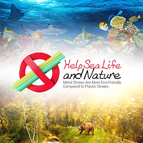 Sipwell Bent/Straight Wide Stainless Steel Drinking Straws, 8-Pack – Bpa Free & Dishwasher Safe Straws W/ Cleaning Brush - For Kitchen & Dining Use - Perfect For Smoothies & Cold Beverages #TOP3