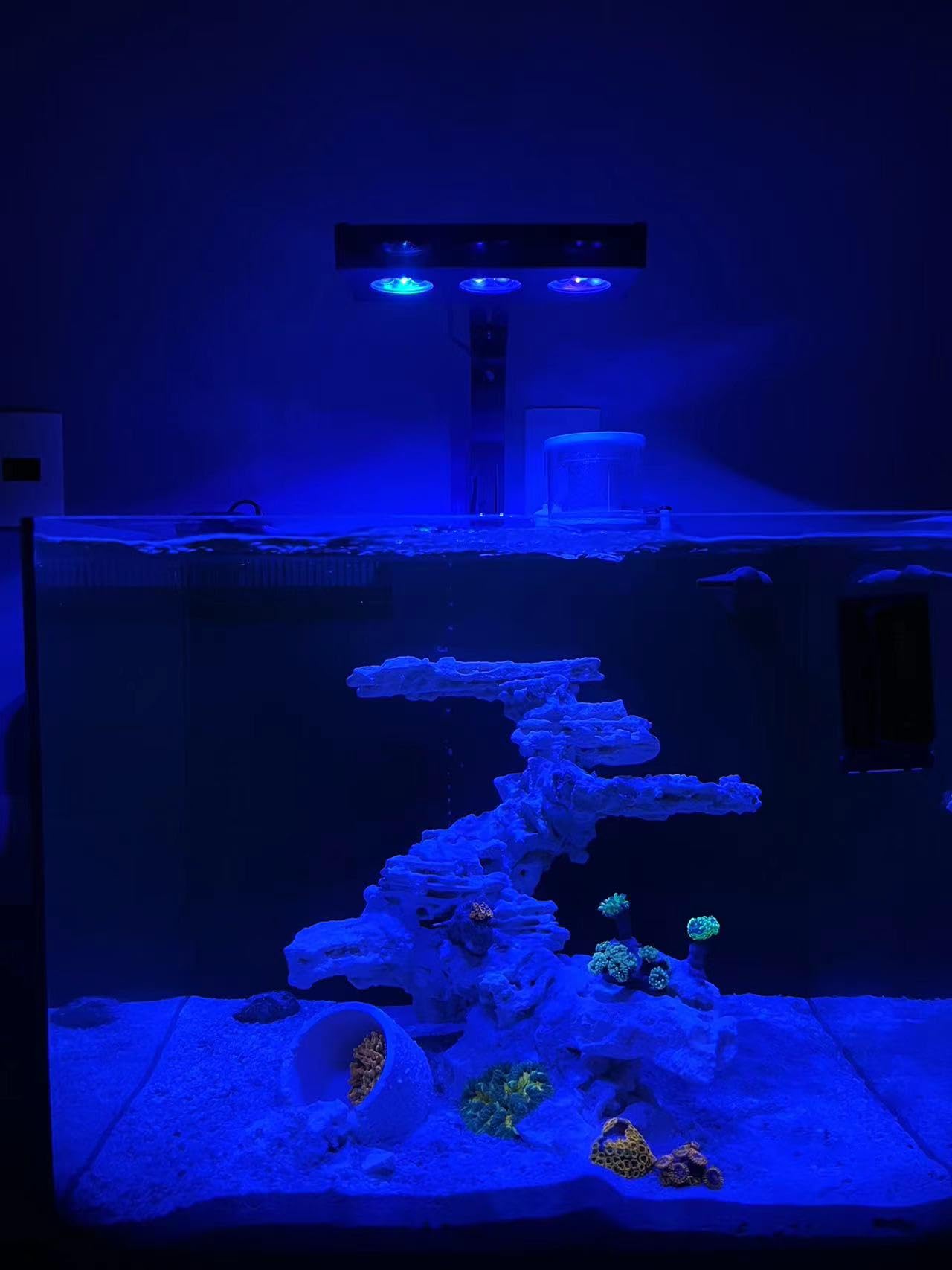 Luz de acuario 2025 nueva actualización Aqua Knight A029 3ª generación 30 vatios luz de arrecife 2 canales control con temporizador, amanecer, atardecer, luz de luna para coral SPS LPS,