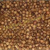 6mm ~ Olive Wood Round Beads Polished Rosary Jewelry Holy Land Bethlehem Jerusalem (120)