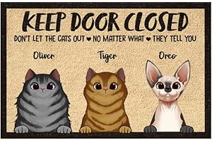 Pawfect House Personalized Door Mat: The Ultimate Cat-Friendly Welcome