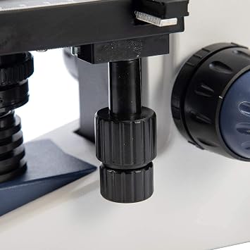 SWIFT SW380B 40X-2500X Magnification, Siedentopf Head, Research-Grade Binocular Compound Lab Microscope with Wide-Field 10X and 25X Eyepieces, Mechanical Stage, Ultra-Precise Focusing