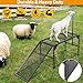 Oxphanor Livestock Trimming Stand with a Ramp, Metal Sheep Stand 49.4“ x 20.9