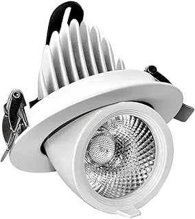 DUBOXX Rotatable 360Â° Spotlights Eyeball Recessed Downlight with Built-in Retractable Adjustable Recessed Ceiling Light 10W/12W LED Recessed Lighting 3000K/4000K/6000K (Color : Warm Light, Size : 12