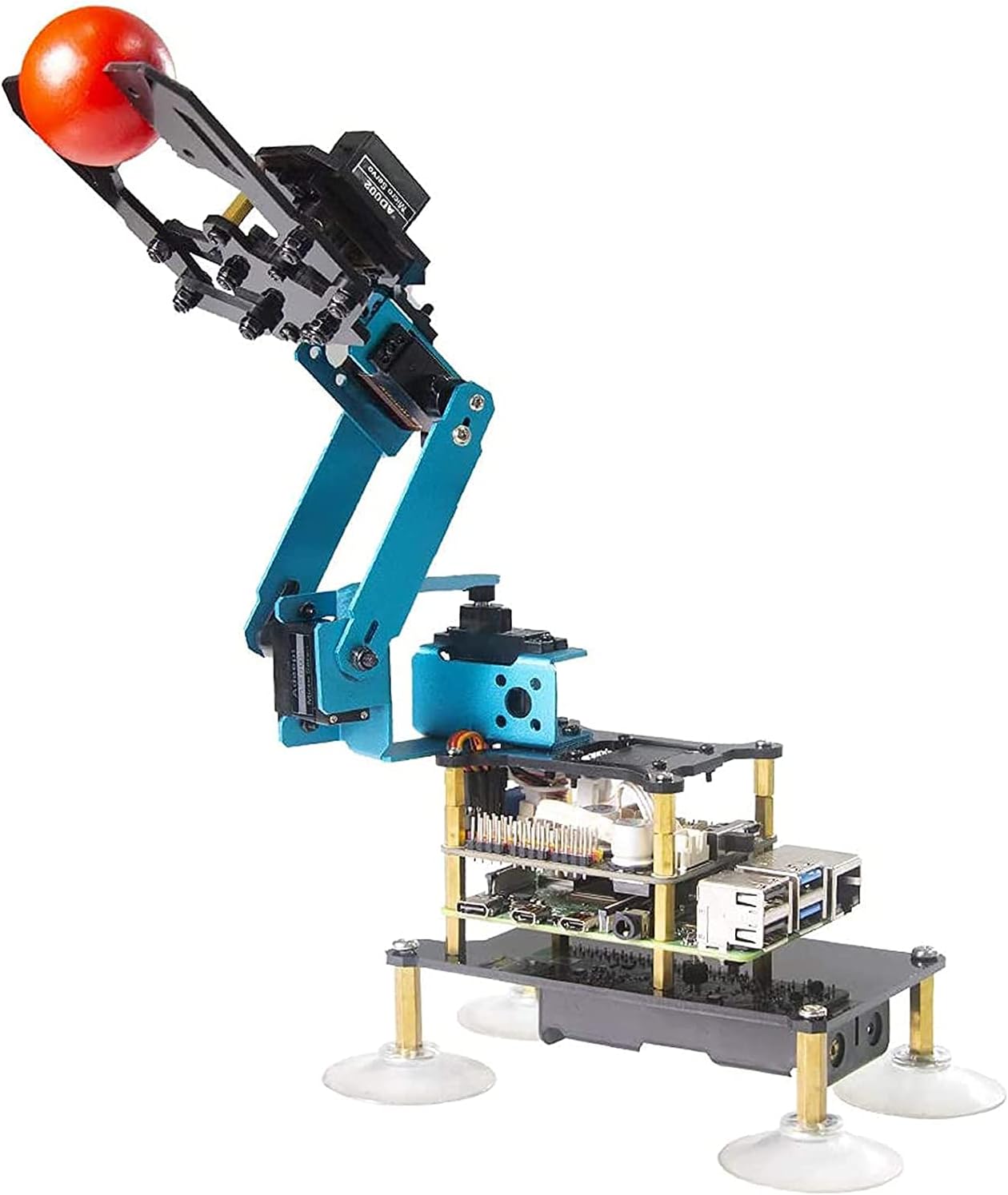 Adeept RaspArm-S 4-DOF Robot Arm 4 Axis Robotic Arm Kit for Raspberry Pi 4 3B 3B+ | Programmable Robot DIY Coding Robot Kit | STEAM Robot Arm Kit with OLED Display | Processing Code and PDF