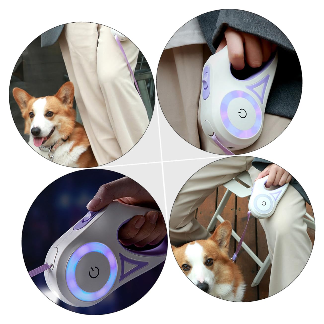 Milisten Laisse Rétractable pour Chien 5 M pour Dressage Et Promenade De Chiots avec Traction Flexible Et Automatique