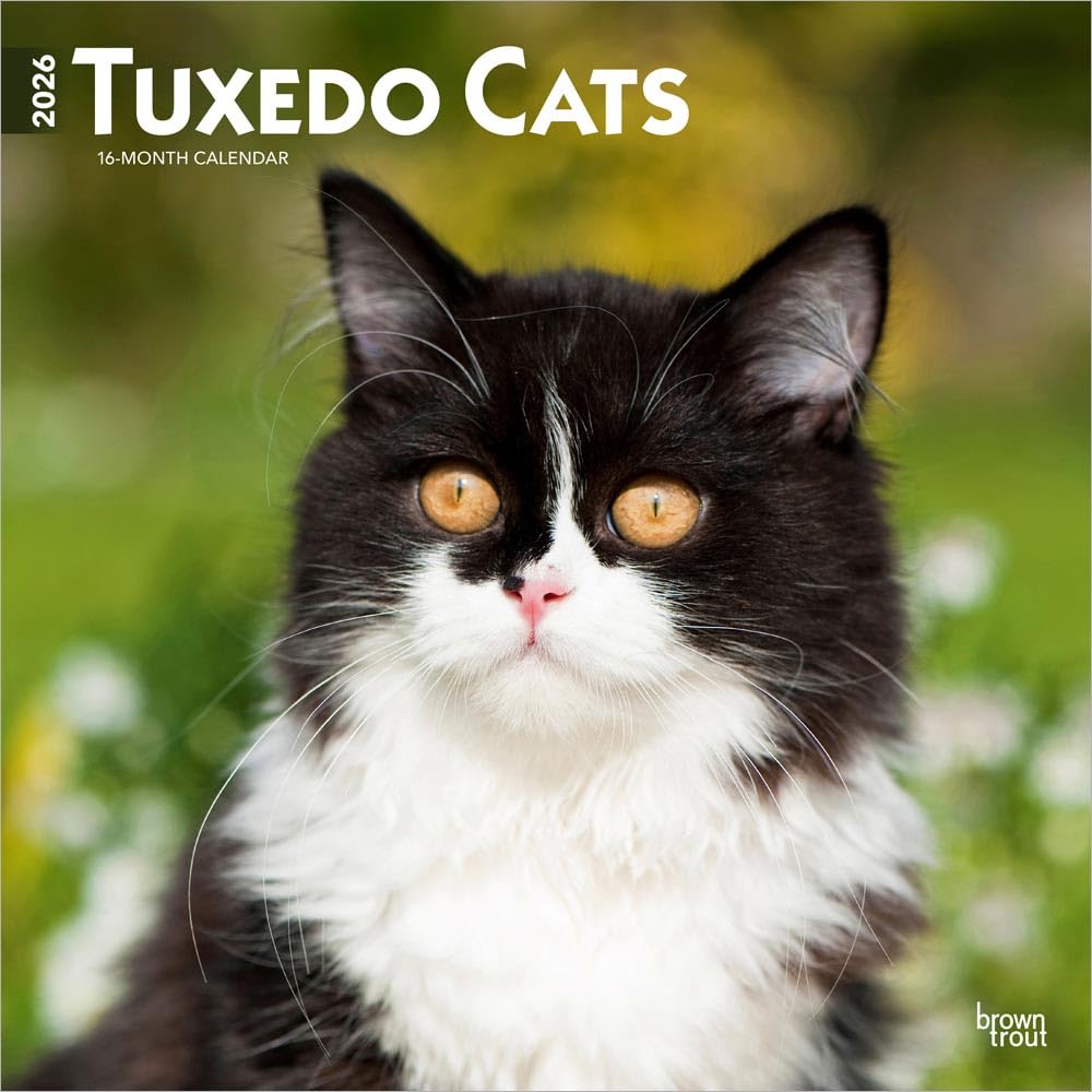 Tuxedo Cats - Tuxedo Katzen 2026 - 16-Monatskalender: Original BrownTrout-Kalender [Mehrsprachig] [Kalender]