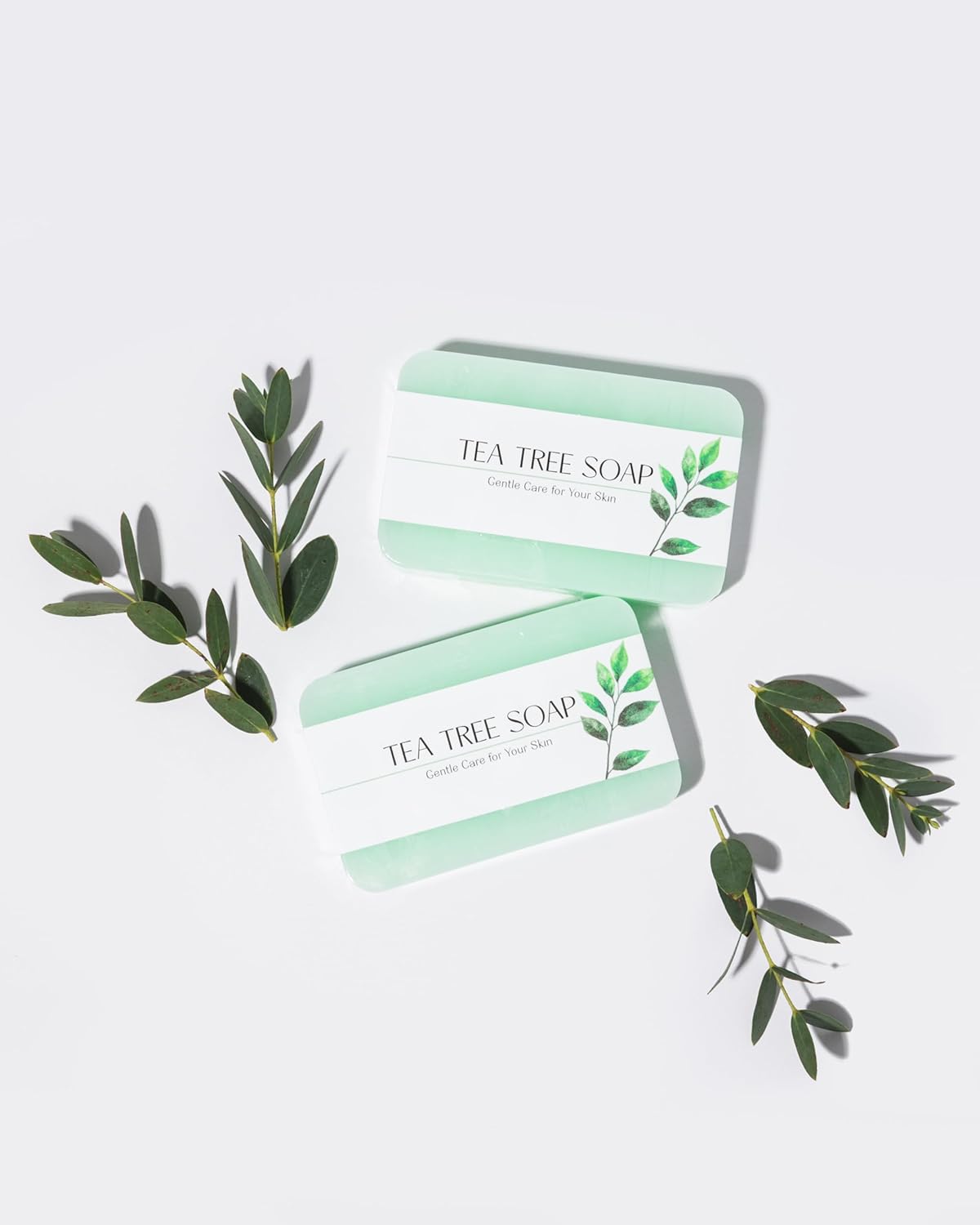 Aura Naturals Tea Tree Soap Bar - Set of 2, Natural Soap Bar for Face & Body Wash, Tea Tree Oil Soap with Anti Fungal Properties for Body Itching Acne Athlete's Foot Folliculitis 9 61nZJhojjjL. AC SL1500