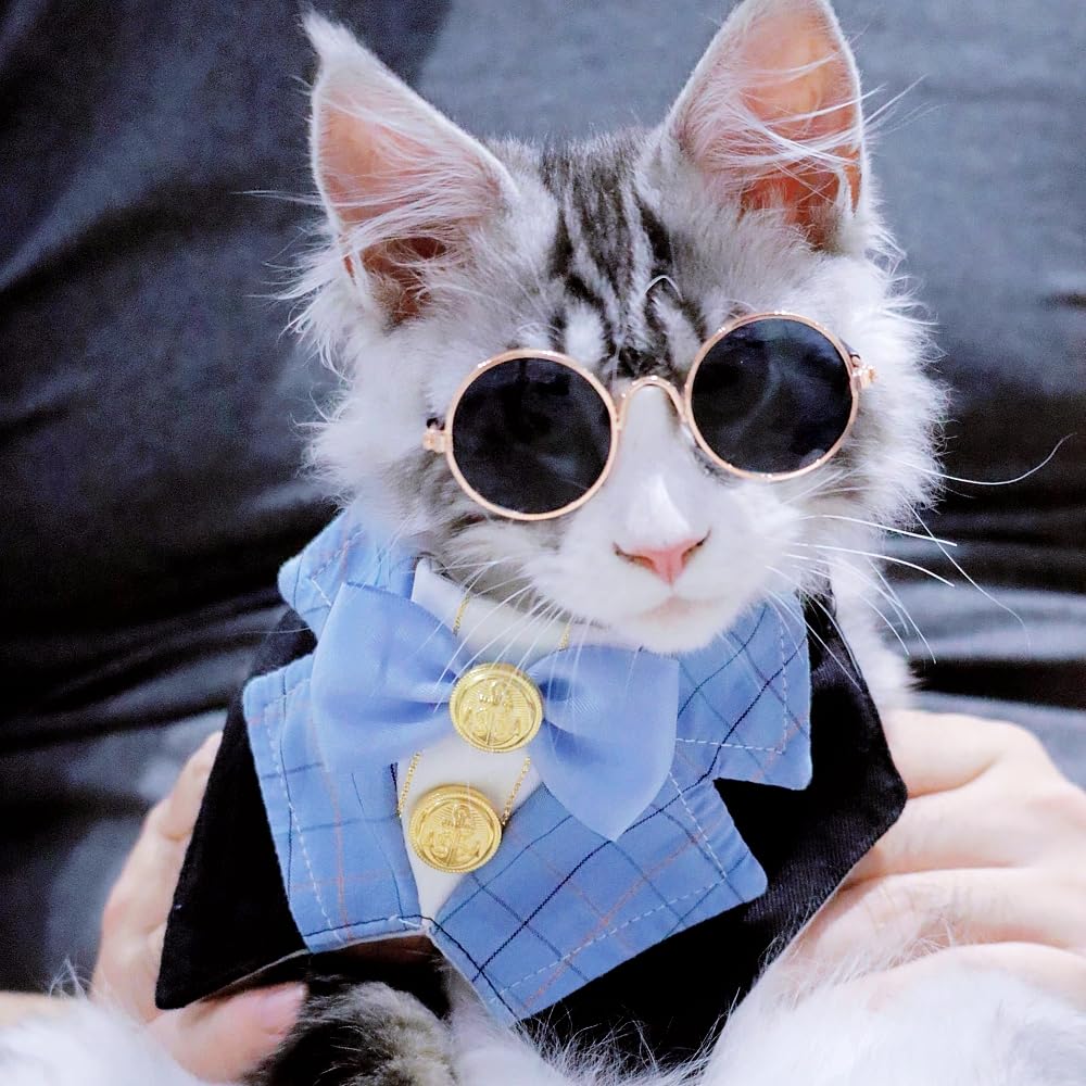 GallaRato Dog Tuxedo Formal Cat Birthday Costume Cat Dog Formal Wedding  Attire (Blue) : Amazon.in: Pet Supplies
