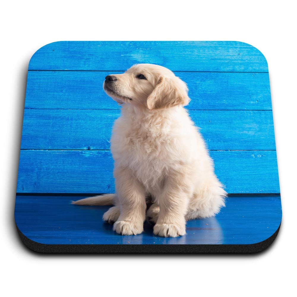Destination Vinyl Ltd Multicolor 1 X Square Mdf Fridge Magnet - Golden Retriever Labrador Puppy 15837