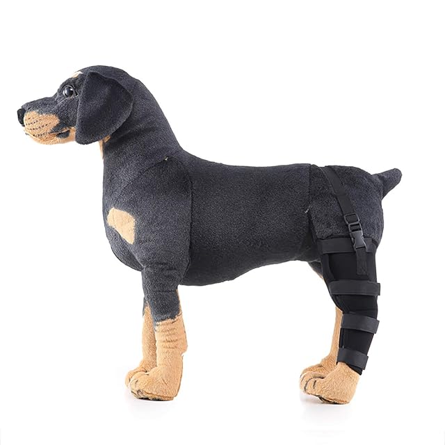 Foto 5 de 6 de Rodilleras Perros, Gatos, Rodilleras para Curar, Prevenir Lesiones, Esguinces