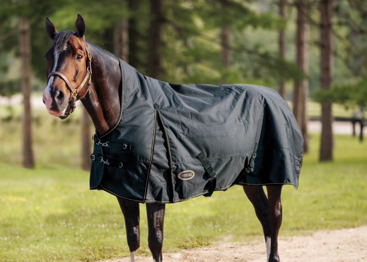 Country Pride Paladin High Neck Turnout Sheet, Waterproof Breathable Horse Blanket, 1200D Cordura Durable Shell, Extended Neck and Shoulder Gussets, Adjustable Double Buckle Front (74)