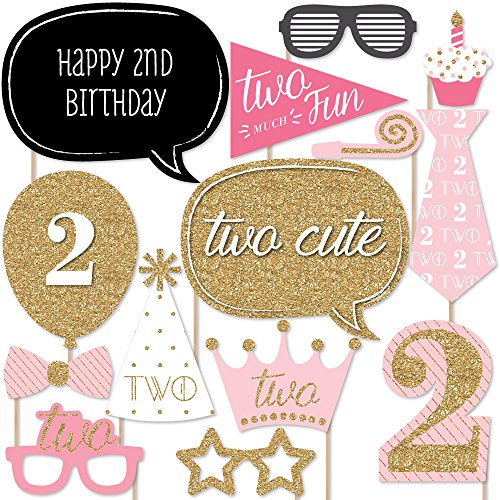 Big Dot of Happiness Two Much Fun - Girl 2nd Birthday Party Photo Booth Props Kit 20 Count