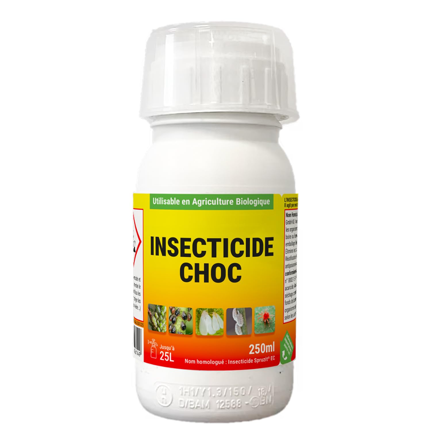 Protecta Insecticide Choc Jardin Concentré - Insecticide Pucerons, Cochenilles, Thrips, Acariens & Araignée Rouge - Plantes, Rosiers et Potager – Utilisable en Agriculture Biologique – 250 ML