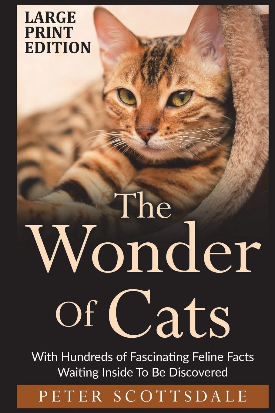 The Wonder Of Cats Large Print Edition: With Hundreds of Fascinating Feline Facts Waiting