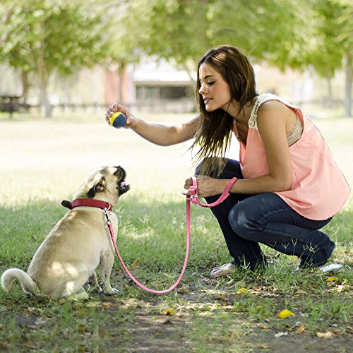 Beirui Rhinestone Bling Leather Dog Collar And Leash Set - Soft Flocking Sparkly Crystal Diamonds Studded - Cute Double Bowknot Cat Collar With 4 Foot Leash For Pet Show,Red,Neck:6-8" #TOP5