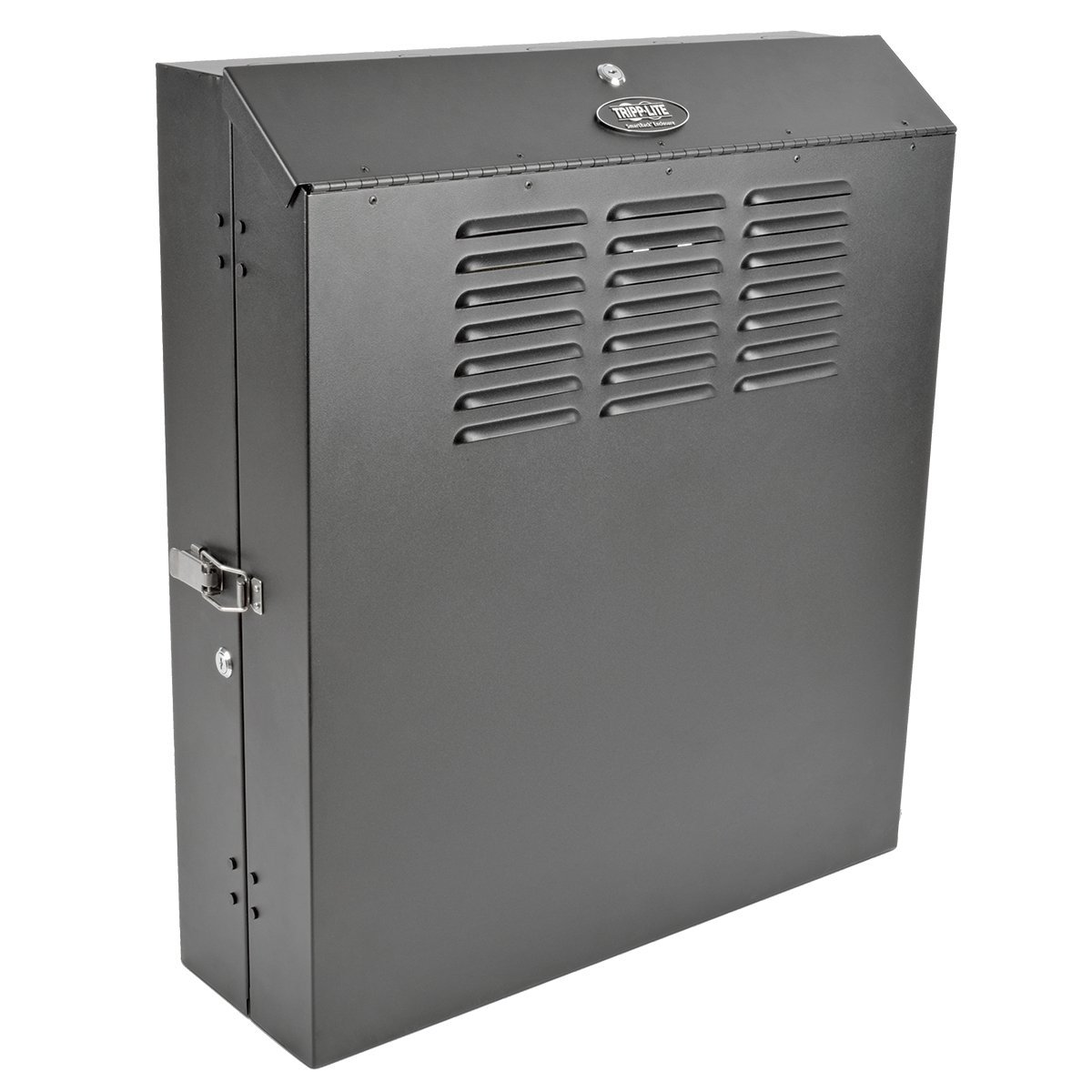 Amazon.com: Tripp Lite 6U Vertical Wall Mount Rack Enclosure