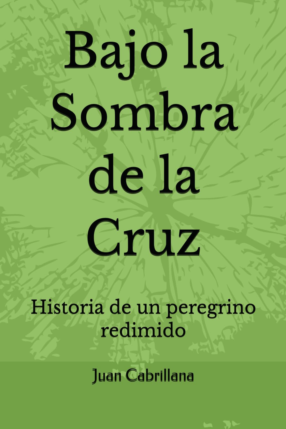Bajo la Sombra de la Cruz: Historia de un peregrino redimido