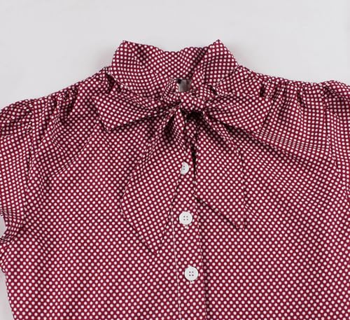 Wellwits Women's Bow Tie Neck Polka Dots Vintage Shirt Dress3
