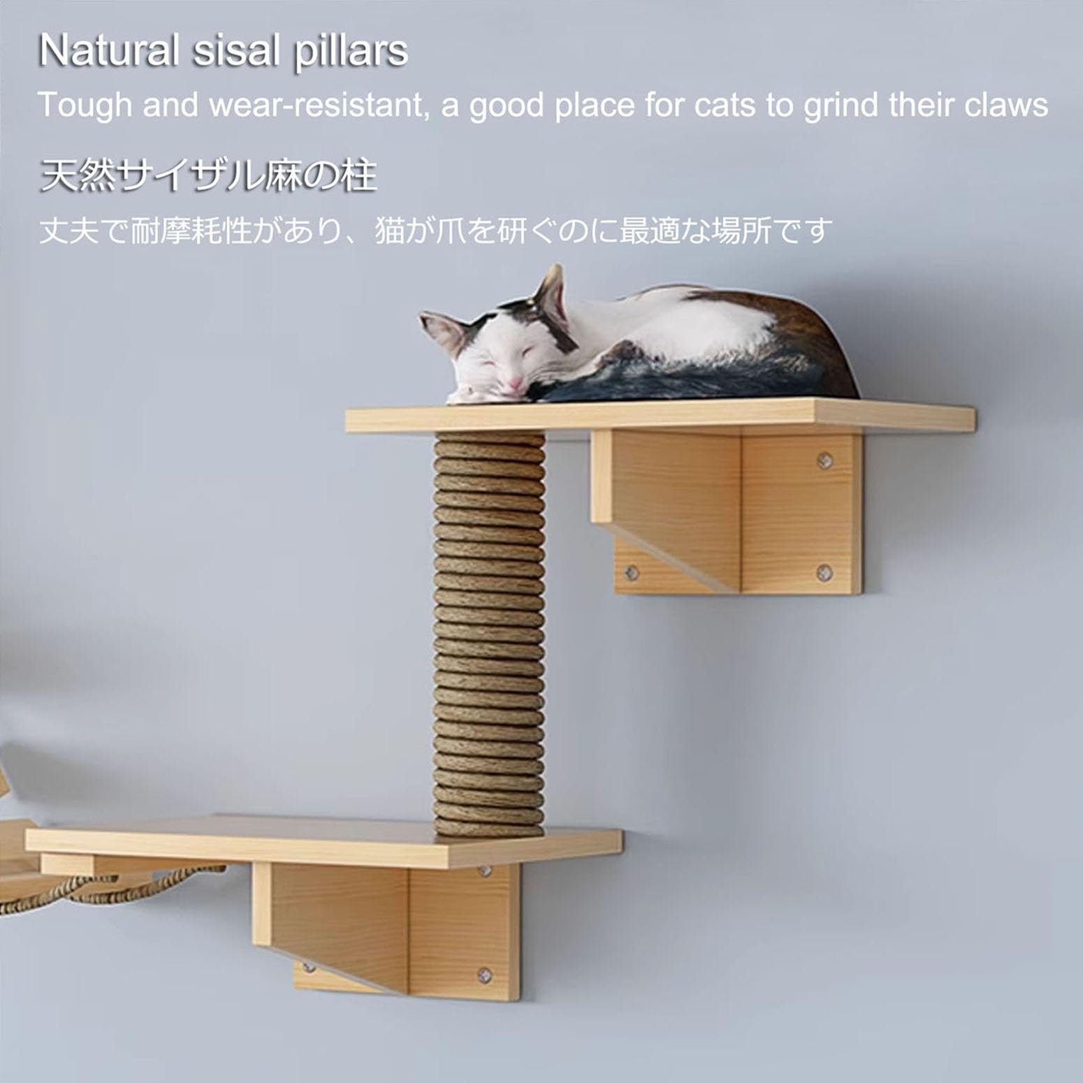 Katzenkletter- und Kratzmöbel-Set mit erweiterbaren Wandregalen und Plattformen für Indoor-Aktivitäten