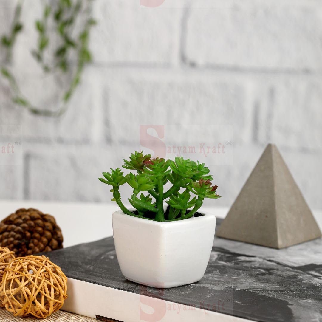 SATYAM KRAFT 1 Pc Succulent Mini Indoor Flowers with Aesthetic Cement Pot, to Add Charm to Your Home Decor, Perfect for Gifting for Festival for Rakshabandhan, Anniversary(Pack of 1)