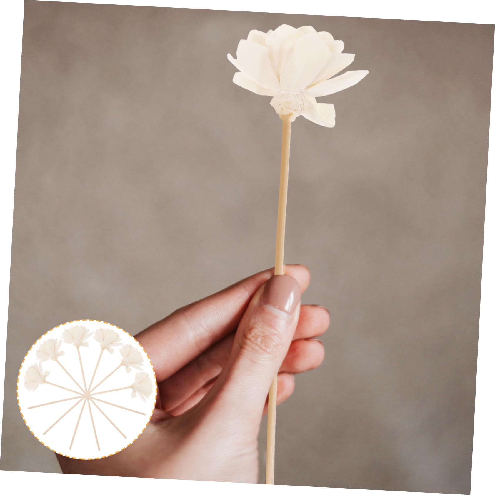 GALPADA 30stücke Duftstäbchen Dahlien Für Aromatherapie Dekorative Diffuser-Sticks Für Zuhause Natürliche Raumdüfte Und Entspannende