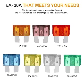 Car Fuse Kit - 60PCS Assorted Blade Fuses (5A-30A) With Storage Case and Fuse Clip