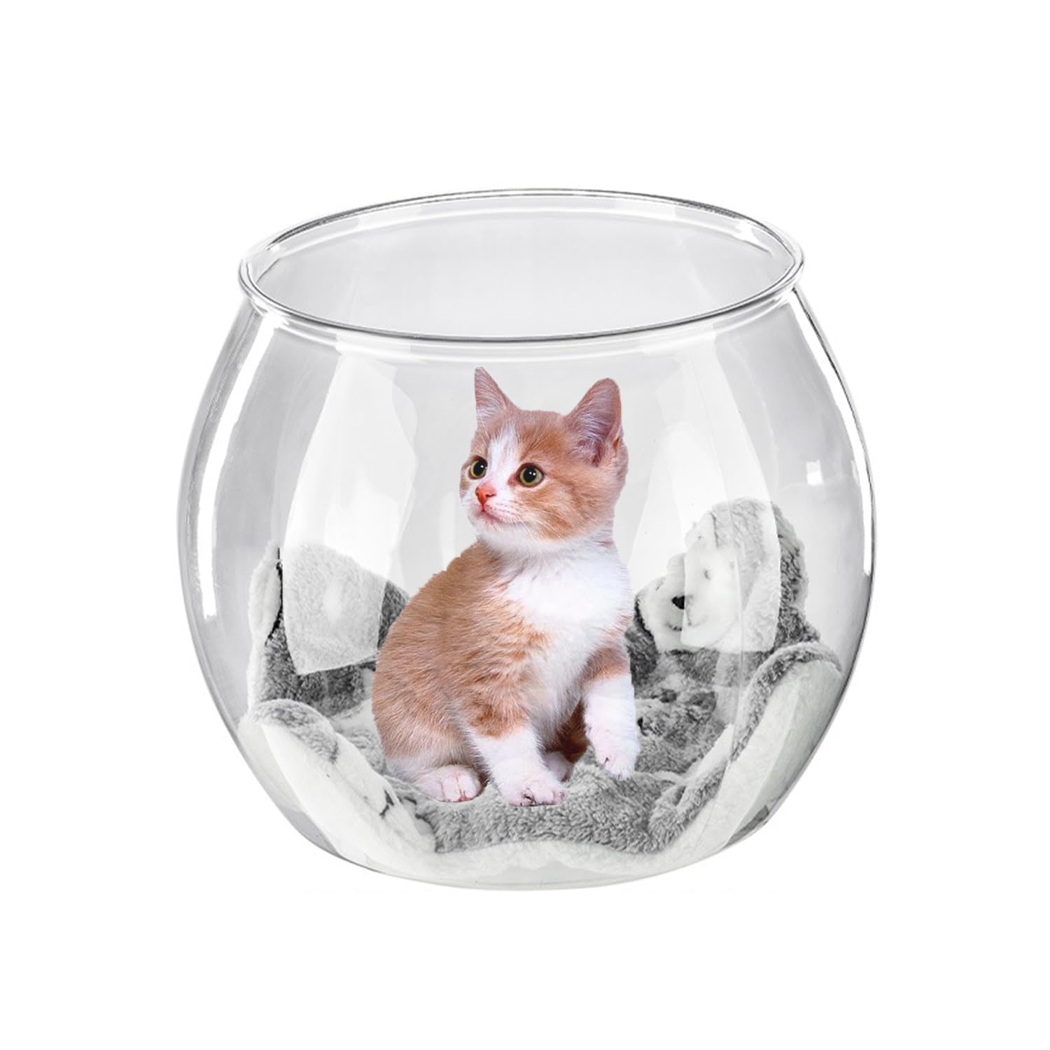 Amazon | 猫 金魚鉢 ベッド 大きい 金魚 水槽 隠れ家 丸型 おしゃれ 大