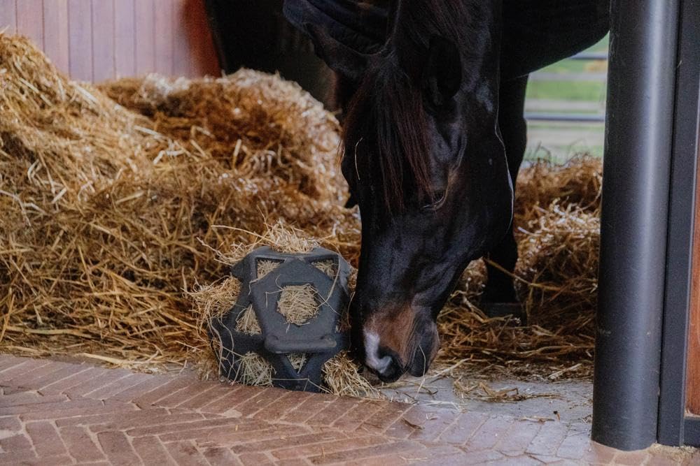 Kentucky - Relax Horse Spiel & Heuball grau Grösse L 40cm